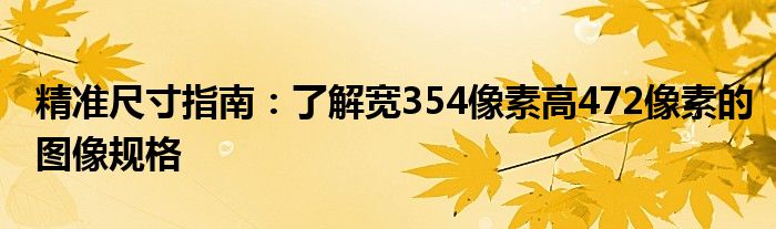 精准尺寸指南：了解宽354像素高472像素的图像规格