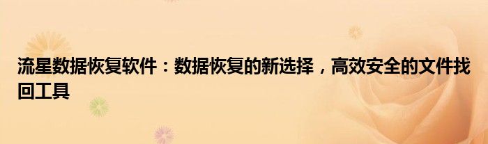 流星数据恢复软件：数据恢复的新选择，高效安全的文件找回工具