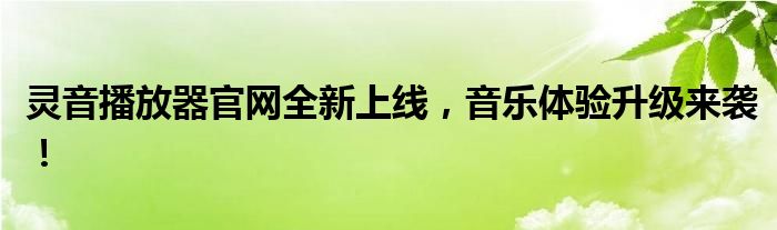 灵音播放器官网全新上线，音乐体验升级来袭！