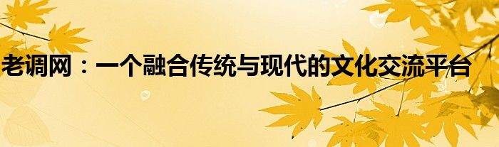 老调网：一个融合传统与现代的文化交流平台
