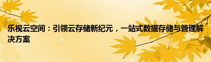 乐视云空间：引领云存储新纪元，一站式数据存储与管理解决方案