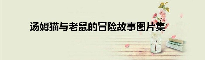 汤姆猫与老鼠的冒险故事图片集