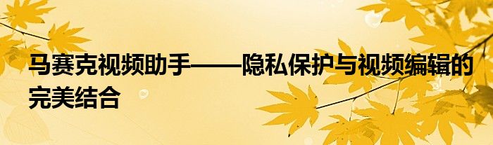 马赛克视频助手——隐私保护与视频编辑的完美结合