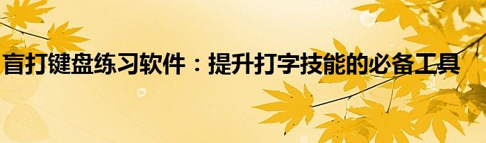 盲打键盘练习软件：提升打字技能的必备工具
