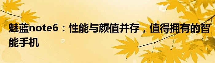魅蓝note6：性能与颜值并存，值得拥有的智能手机