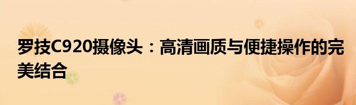 罗技C920摄像头：高清画质与便捷操作的完美结合