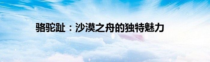 骆驼趾：沙漠之舟的独特魅力