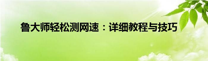鲁大师轻松测网速：详细教程与技巧