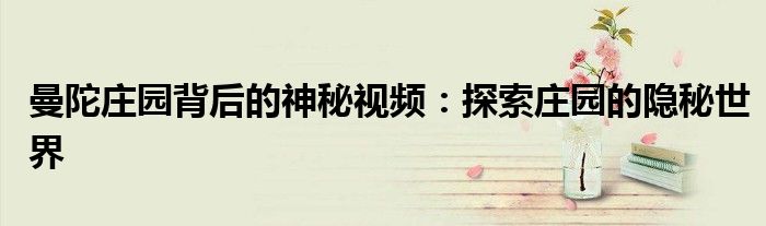 曼陀庄园背后的神秘视频：探索庄园的隐秘世界