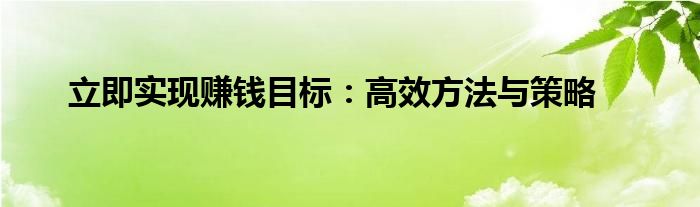 立即实现赚钱目标：高效方法与策略