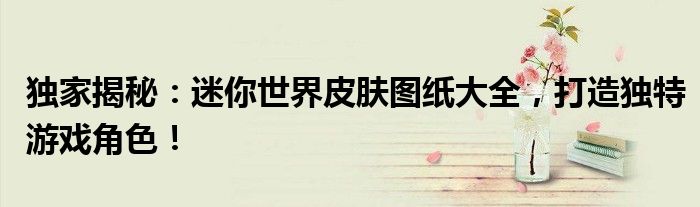 独家揭秘：迷你世界皮肤图纸大全，打造独特游戏角色！