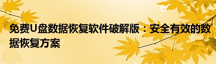 免费U盘数据恢复软件破解版：安全有效的数据恢复方案