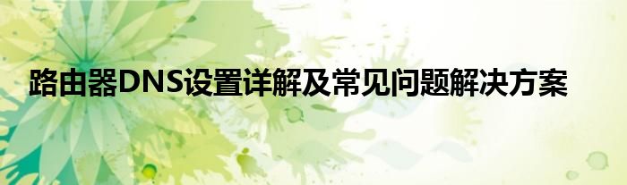 路由器DNS设置详解及常见问题解决方案