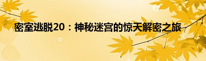 密室逃脱20：神秘迷宫的惊天解密之旅