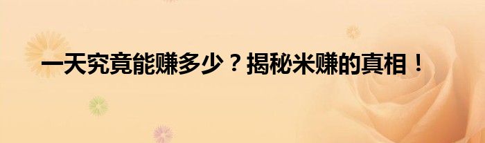 一天究竟能赚多少？揭秘米赚的真相！