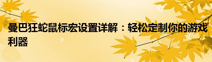 曼巴狂蛇鼠标宏设置详解：轻松定制你的游戏利器