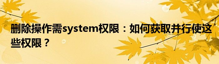 删除操作需system权限：如何获取并行使这些权限？