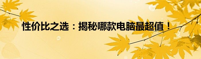 性价比之选：揭秘哪款电脑最超值！