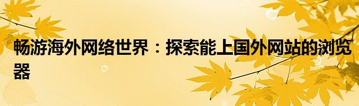 畅游海外网络世界：探索能上国外网站的浏览器
