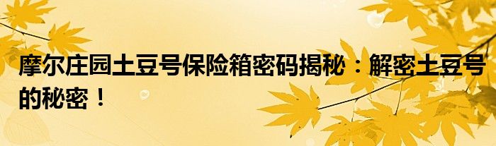 摩尔庄园土豆号保险箱密码揭秘：解密土豆号的秘密！