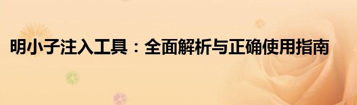 明小子注入工具：全面解析与正确使用指南