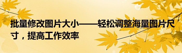批量修改图片大小——轻松调整海量图片尺寸，提高工作效率