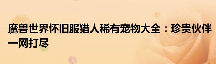 魔兽世界怀旧服猎人稀有宠物大全：珍贵伙伴一网打尽
