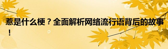 惹是什么梗？全面解析网络流行语背后的故事！