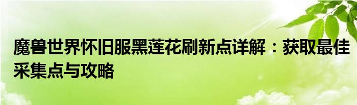 魔兽世界怀旧服黑莲花刷新点详解：获取最佳采集点与攻略