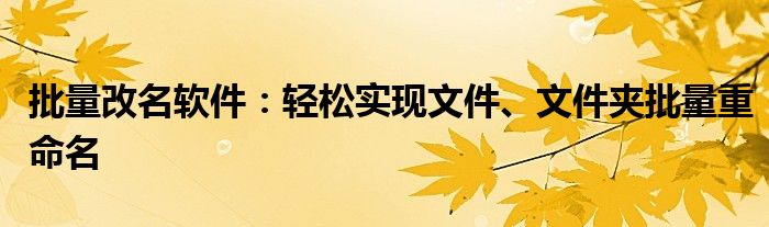 批量改名软件：轻松实现文件、文件夹批量重命名