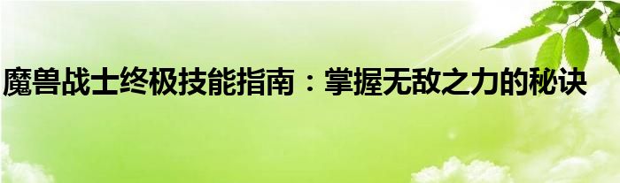 魔兽战士终极技能指南：掌握无敌之力的秘诀