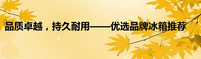 品质卓越，持久耐用——优选品牌冰箱推荐