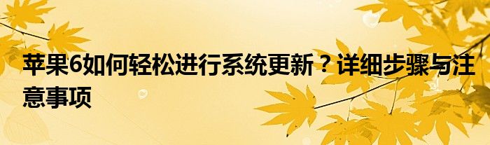 苹果6如何轻松进行系统更新？详细步骤与注意事项