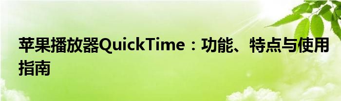 苹果播放器QuickTime：功能、特点与使用指南