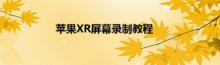 苹果XR屏幕录制教程
