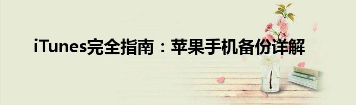 iTunes完全指南：苹果手机备份详解