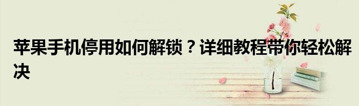 苹果手机停用如何解锁？详细教程带你轻松解决