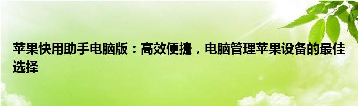 苹果快用助手电脑版：高效便捷，电脑管理苹果设备的最佳选择