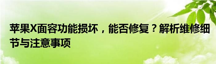 苹果X面容功能损坏，能否修复？解析维修细节与注意事项