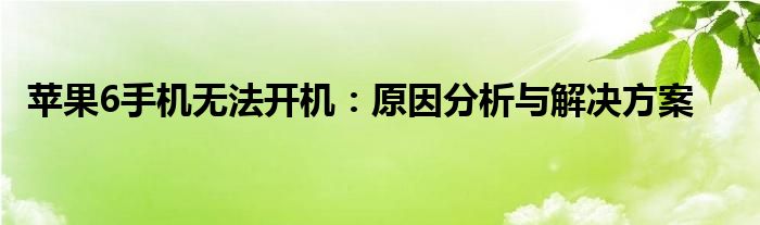 苹果6手机无法开机：原因分析与解决方案