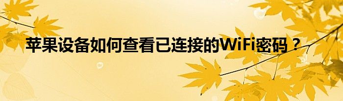 苹果设备如何查看已连接的WiFi密码？