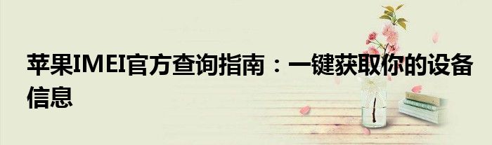 苹果IMEI官方查询指南：一键获取你的设备信息