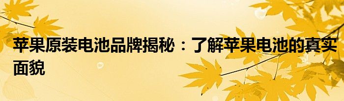苹果原装电池品牌揭秘：了解苹果电池的真实面貌