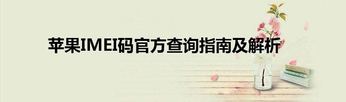 苹果IMEI码官方查询指南及解析