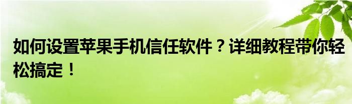 如何设置苹果手机信任软件？详细教程带你轻松搞定！