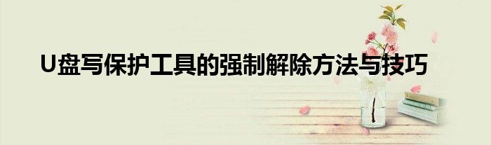 U盘写保护工具的强制解除方法与技巧