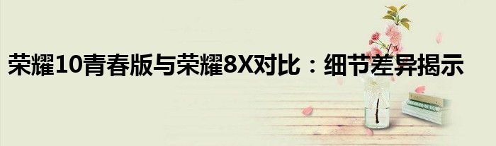 荣耀10青春版与荣耀8X对比：细节差异揭示