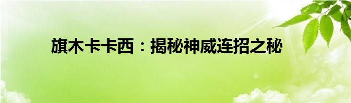 旗木卡卡西：揭秘神威连招之秘