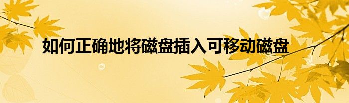 如何正确地将磁盘插入可移动磁盘