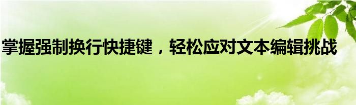掌握强制换行快捷键，轻松应对文本编辑挑战